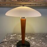 Designer mushroom lamp