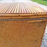 Trunk