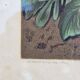 Julia Marin - Impression Thoughts on Large Flowers Around 1900