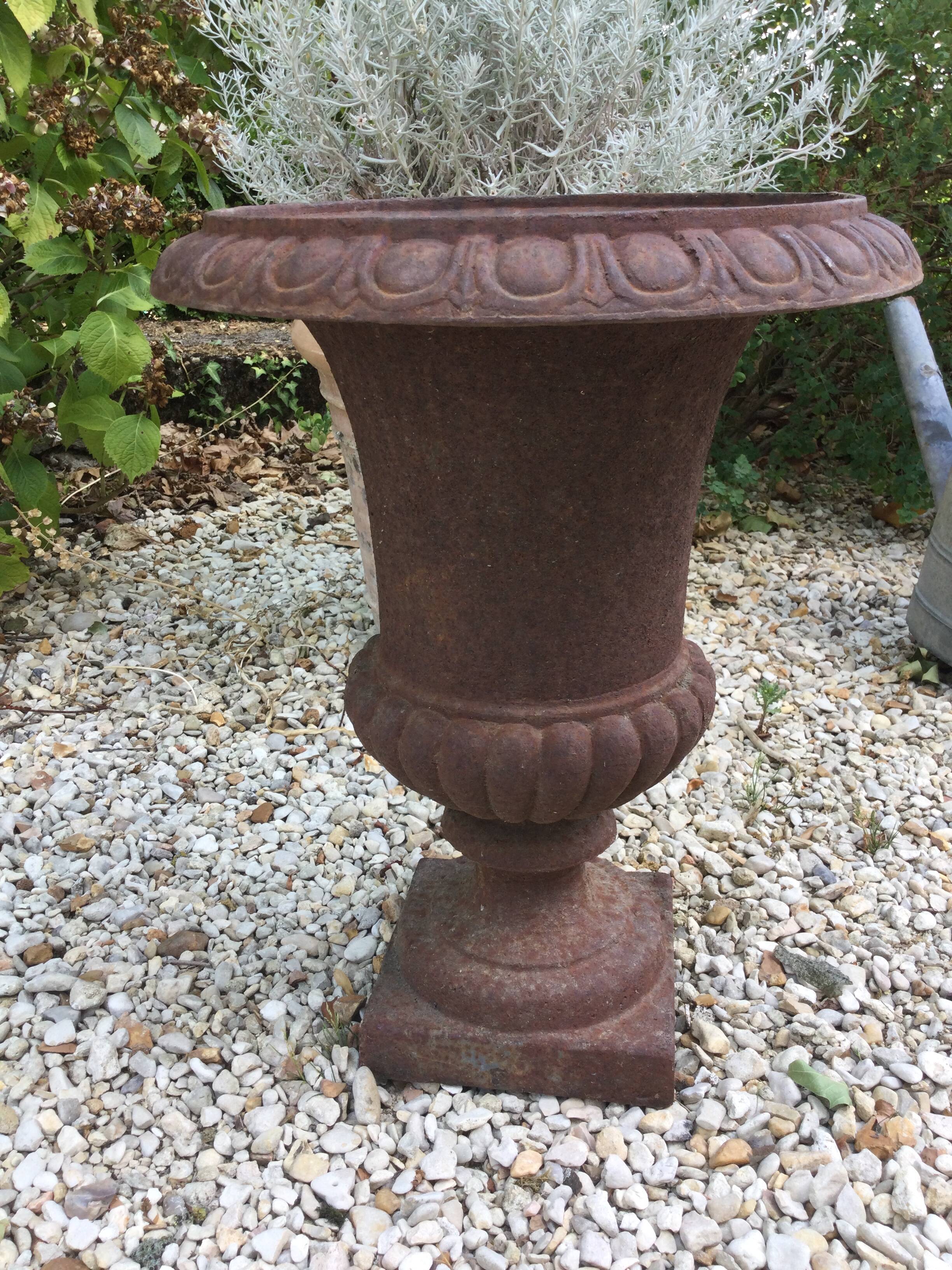 Medici vase in cast iron