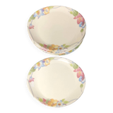 15 multi-colored flower plates