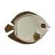 Ceramic fish-shaped mirror 1970