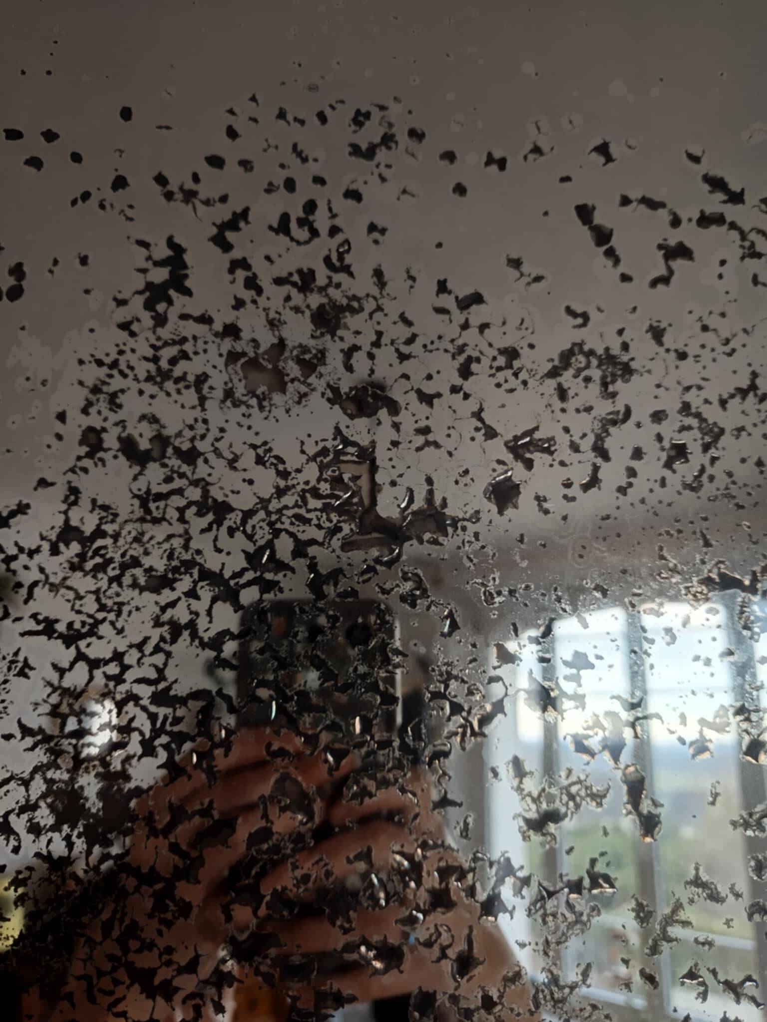 Neo-Gothic mirror in carved oak circa 1940