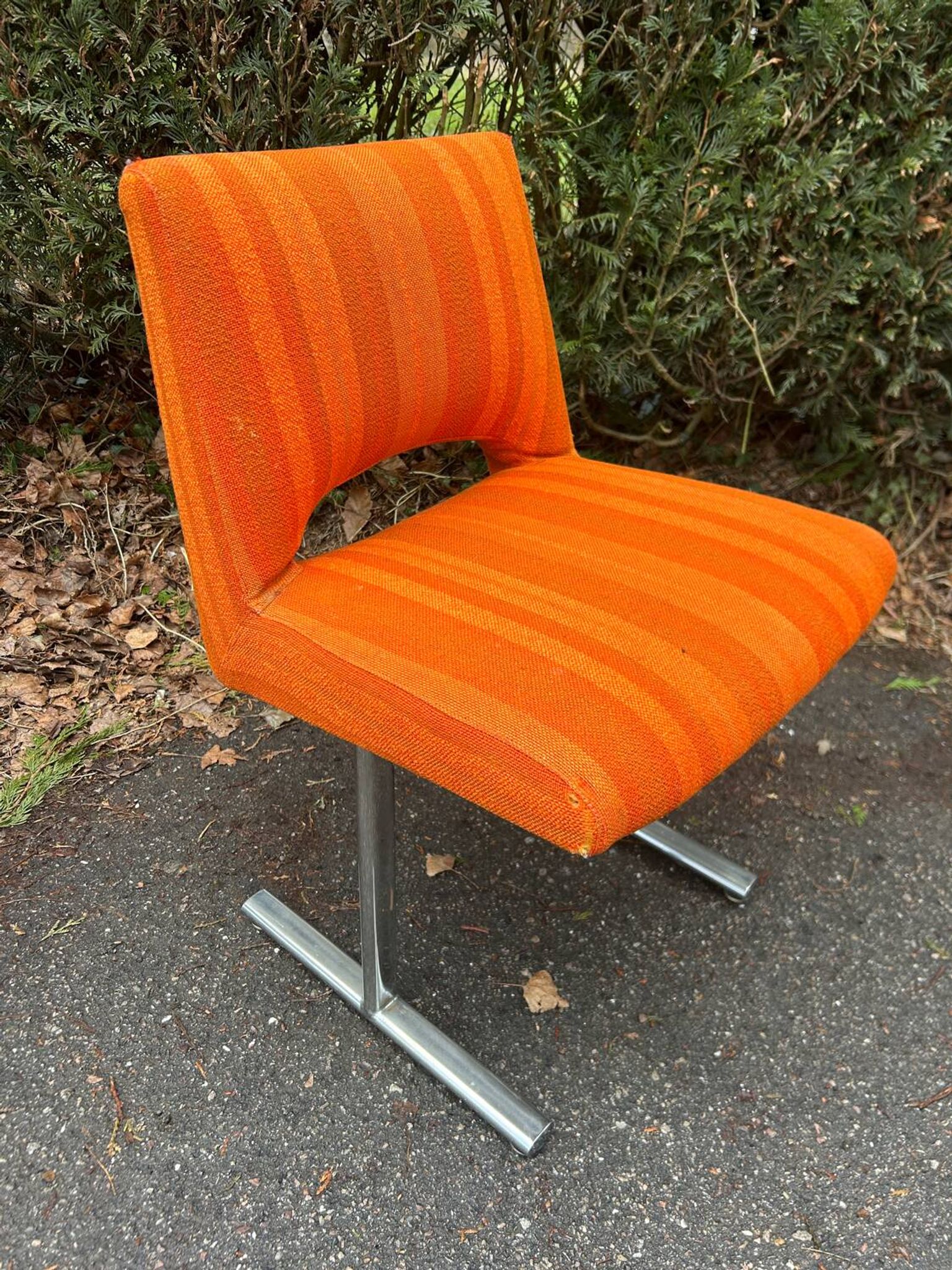Pair of chairs by Georges Frydman