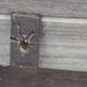 Old workshop wall shelf
