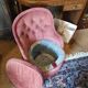 Pink toad armchair