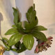 Pair of porcelain flower wall lights