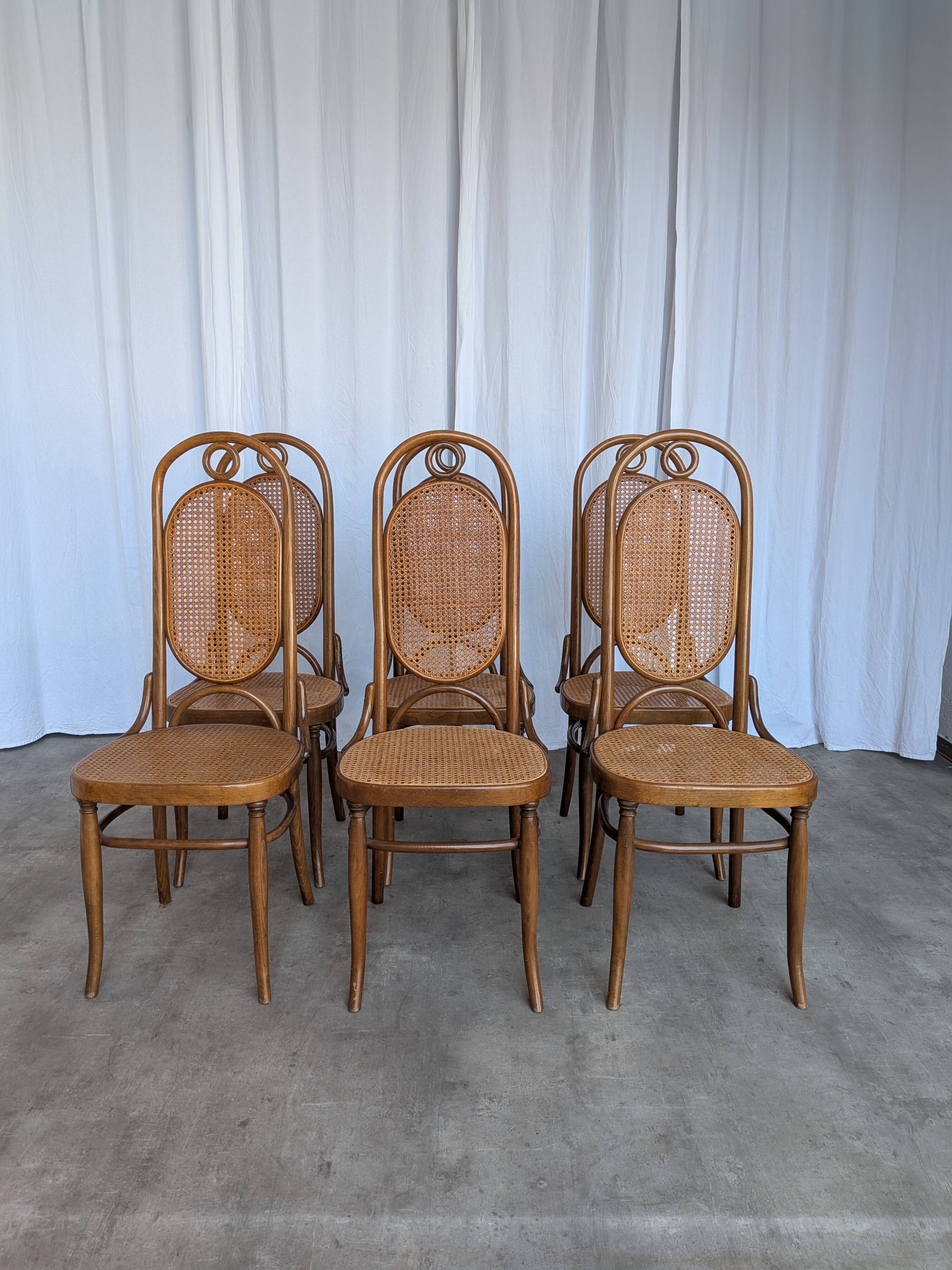 Set of 6 Mid-century Bentwood Cane Dining Chair, Thonet Style, 1970s Yugosl