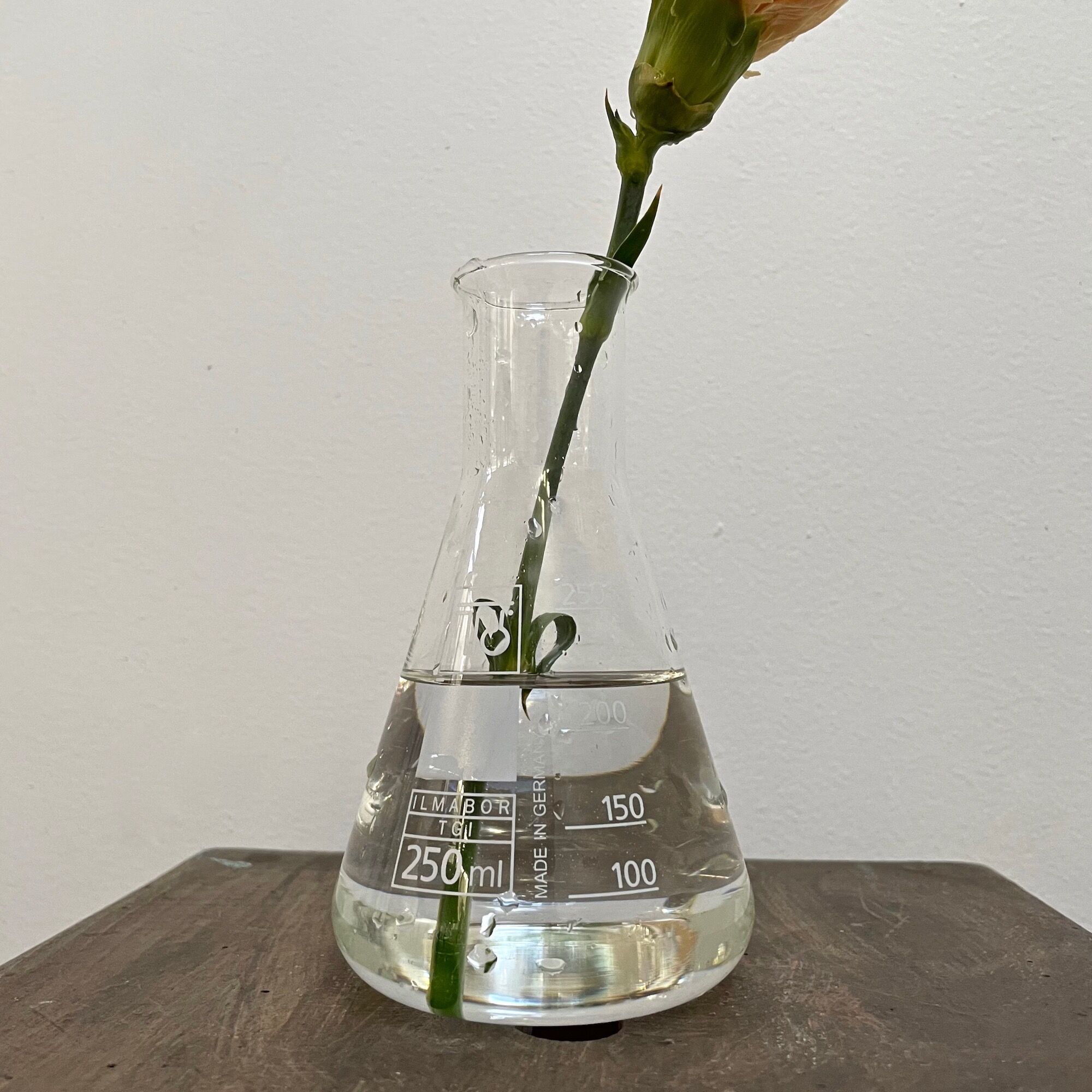 Chemistry Carafe 250ML Ilmabor TGI