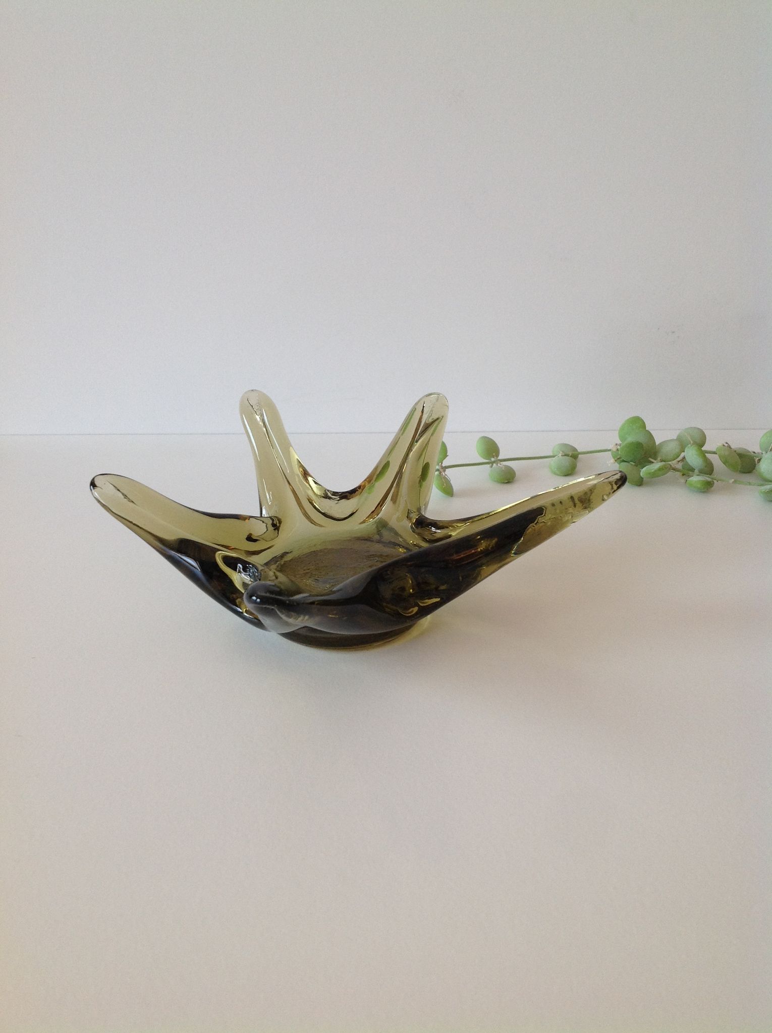 Vide poche en verre étoile