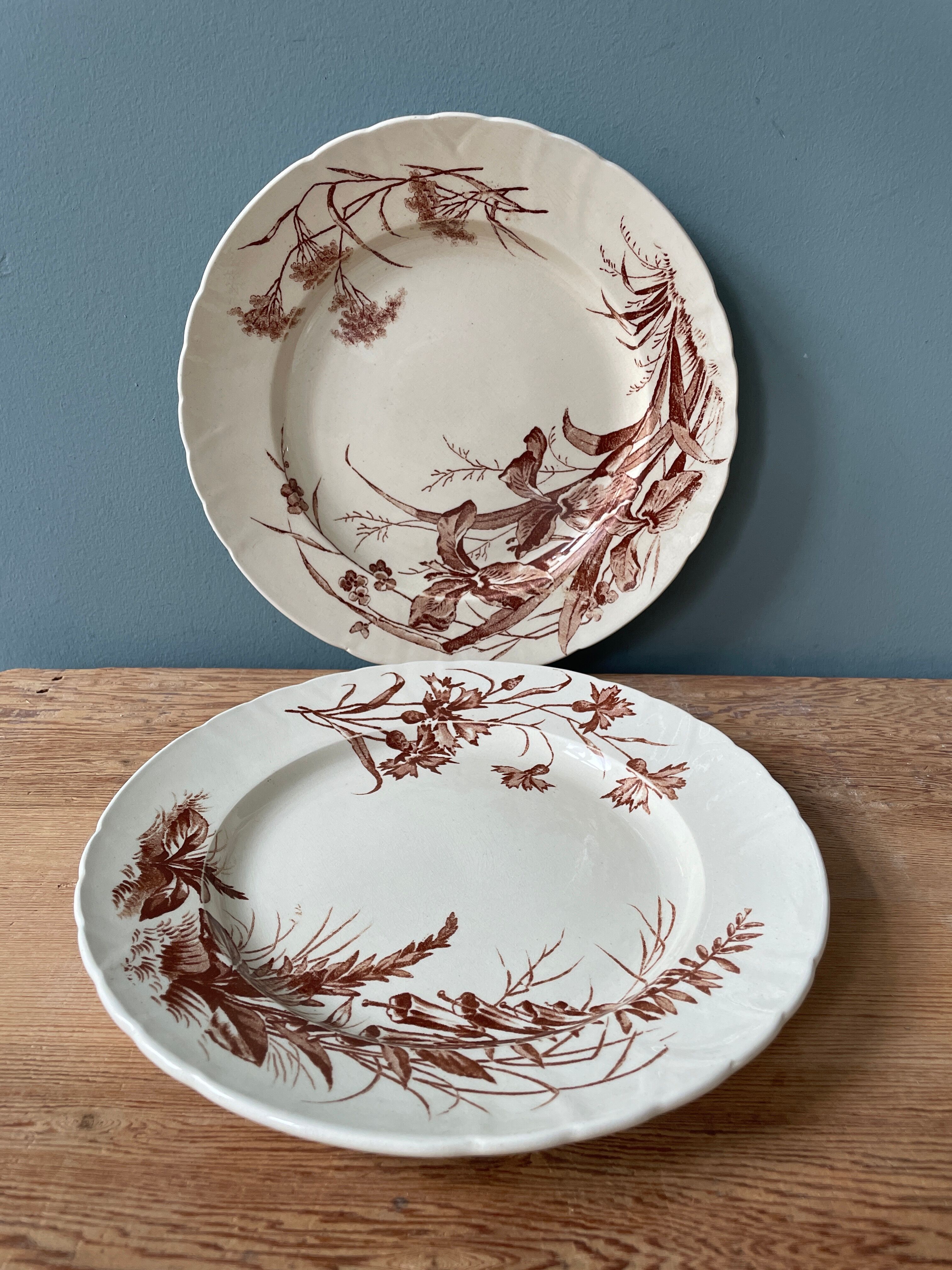 Lot de 2 assiettes Terre De Fer service « Flore »