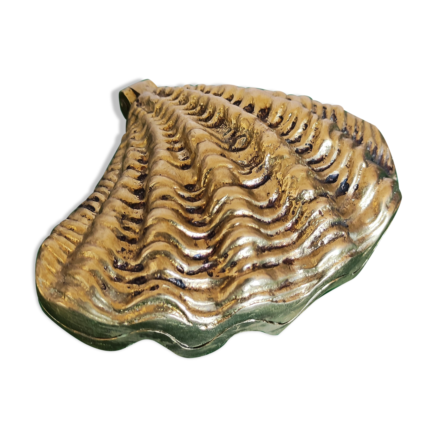 Art deco gilded bronze jewelry, biblical shell