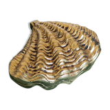 Art deco gilded bronze jewelry, biblical shell