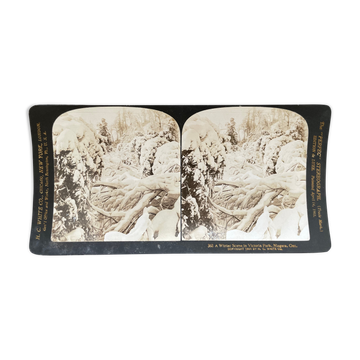 Antique photography, stereo, stereography, luxury albumine 1903 Ontario Canada
