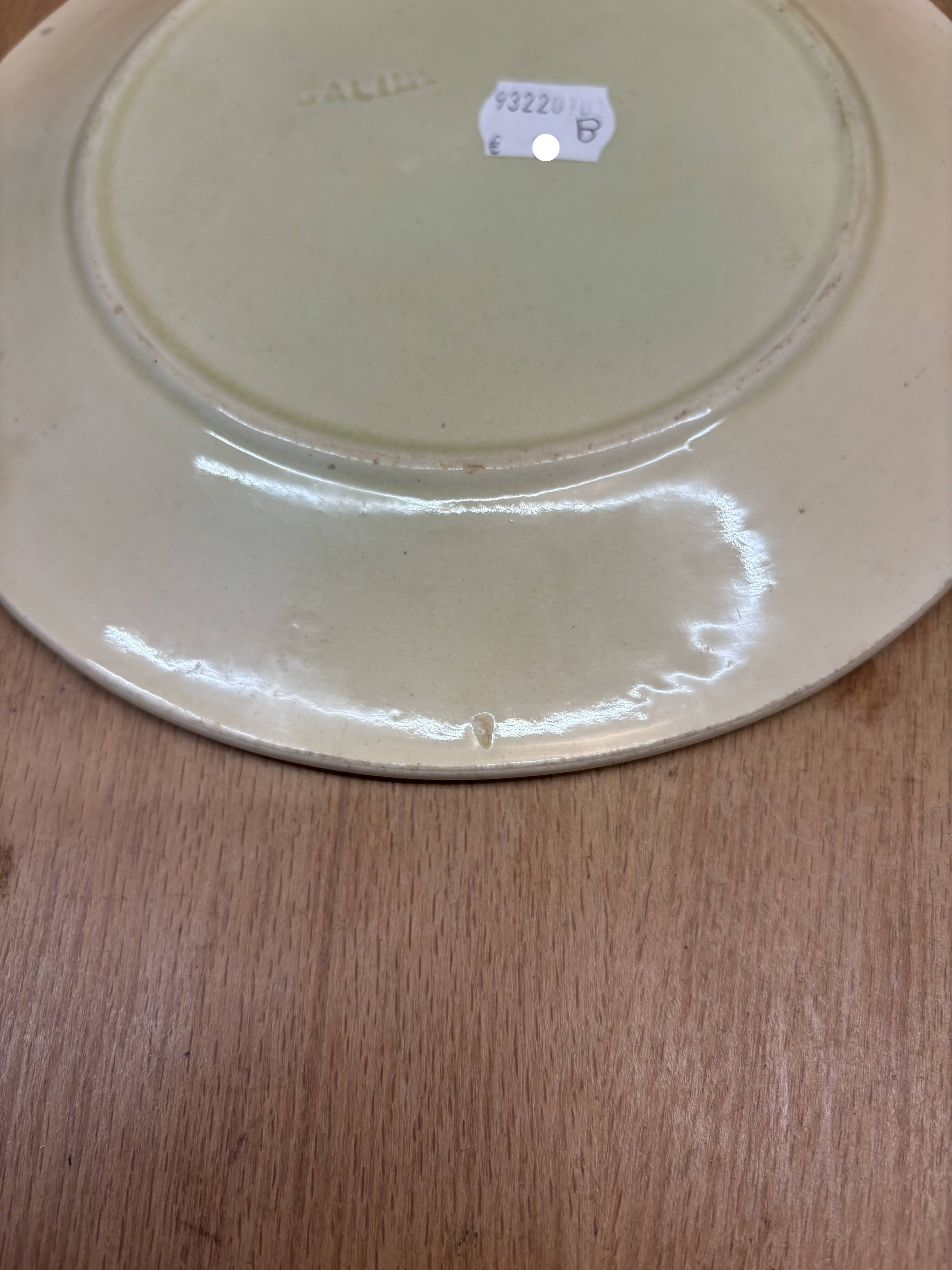 Salins slip plate (B)