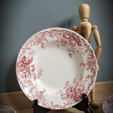 Quartet plates Campanula