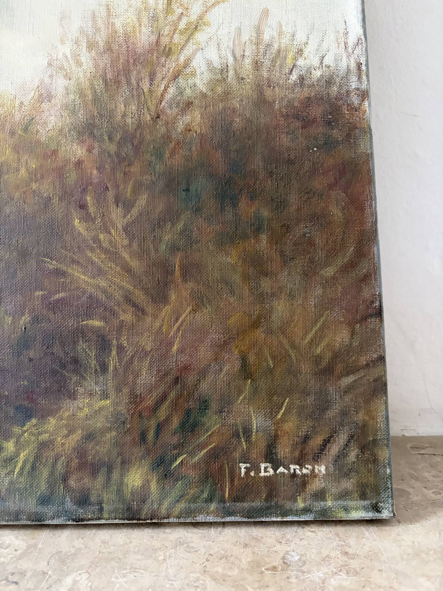 Rural landscape, oil on canvas signed F Baron