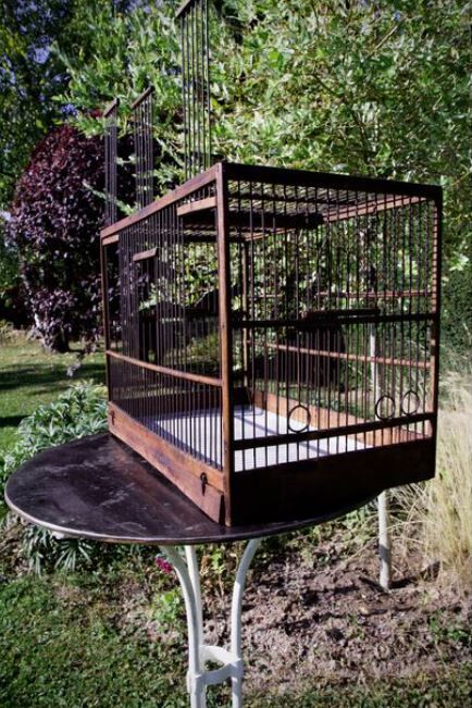 Wooden birdcage year 50