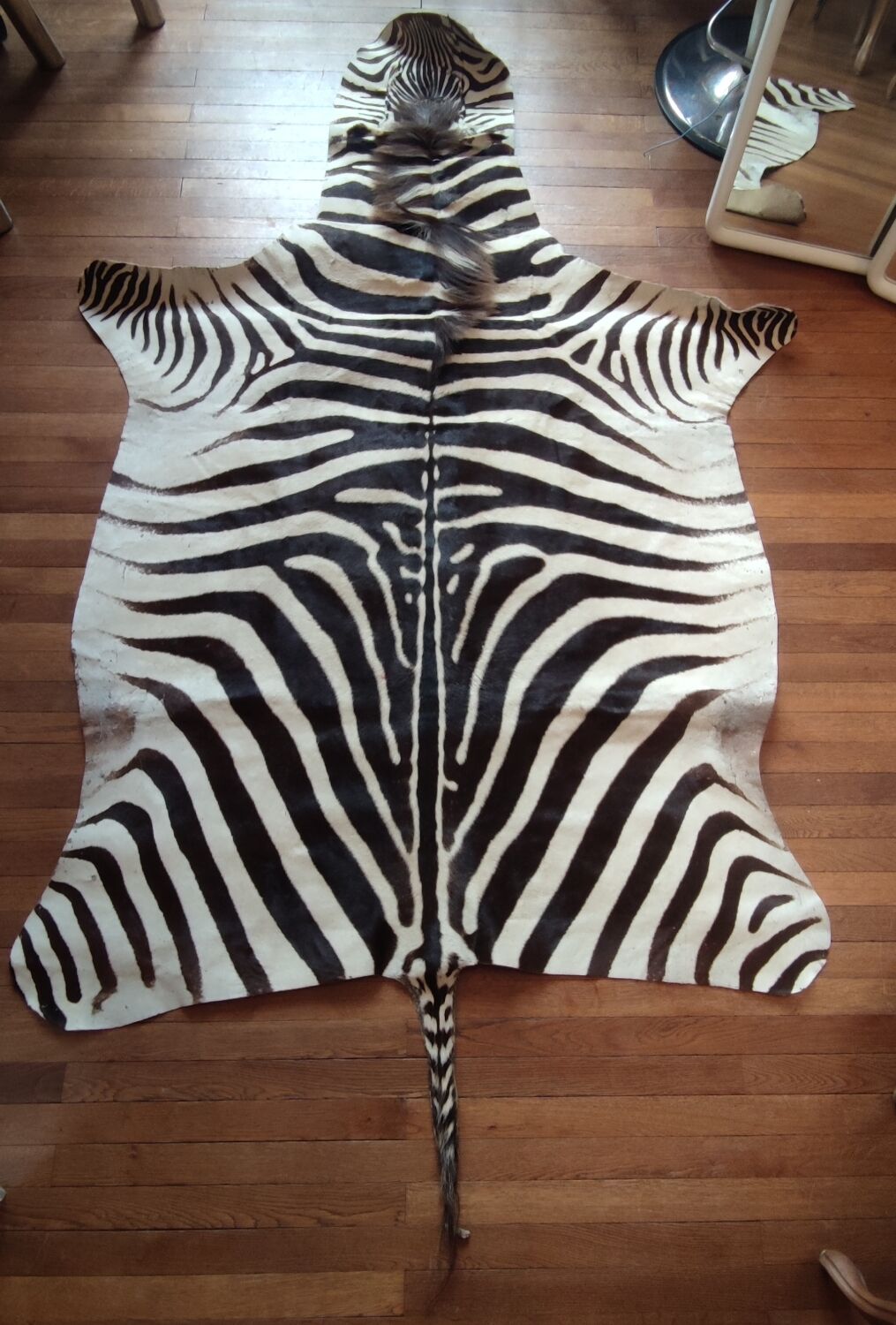 Zebra skin rug