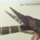 Vintage bird engraving - Hawk - Old animal board by Seligmann & Catesby