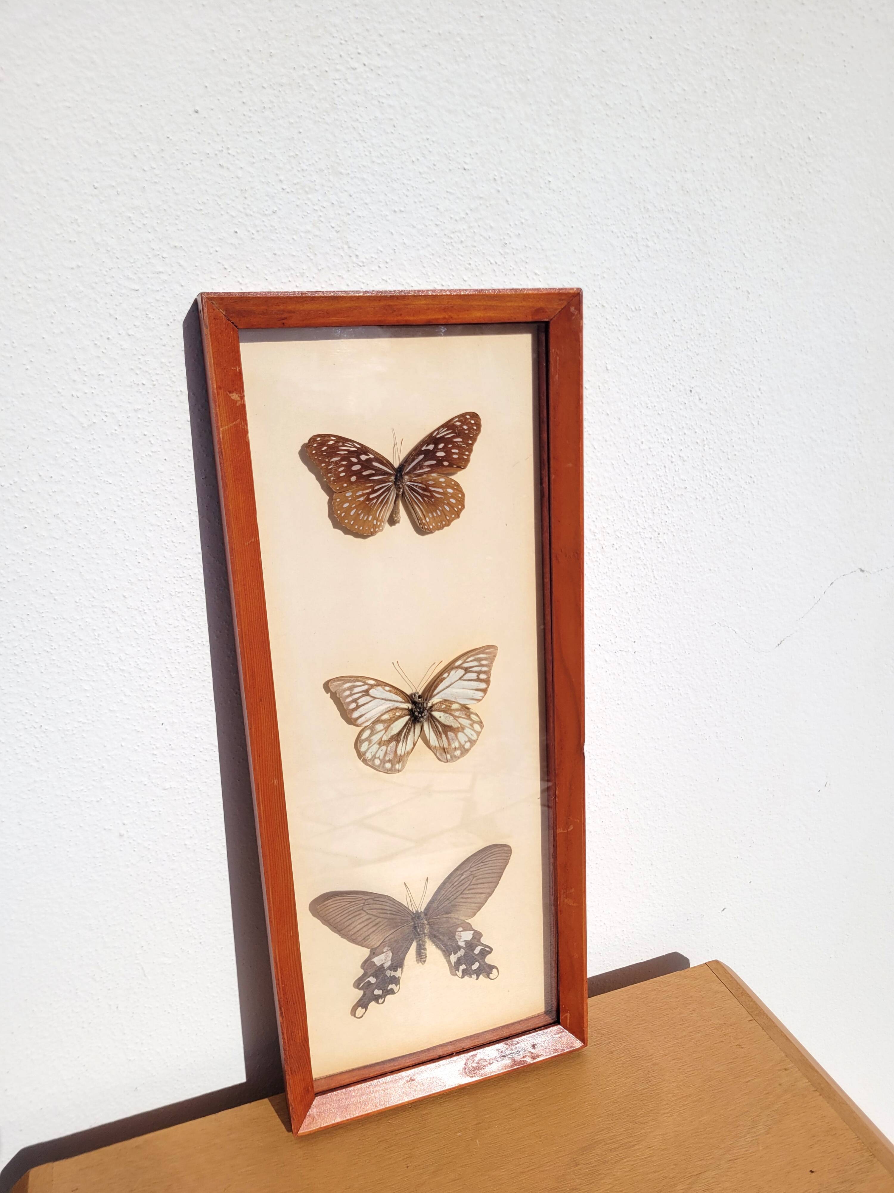 Painting with 3 butterflies