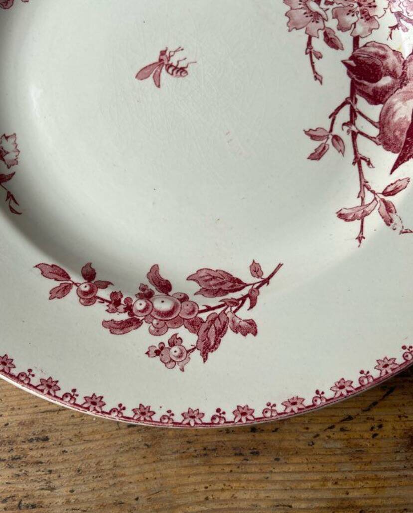 Plat en terre de fer modèle Favori