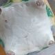 ONNAING SLURRY POT COVER