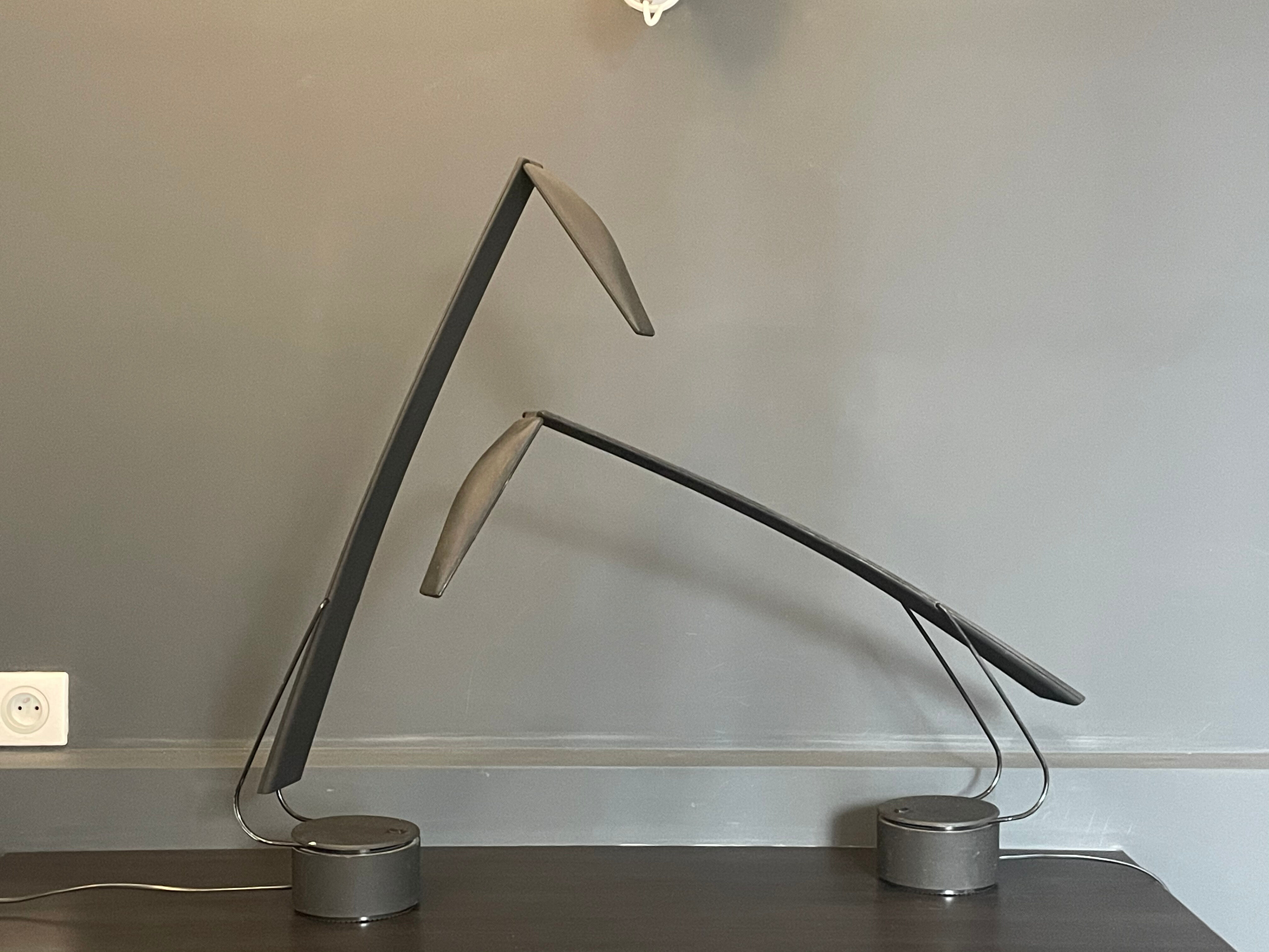 Pair of vintage Italian lamp Dove by Colombo and Barbaglia, 1980