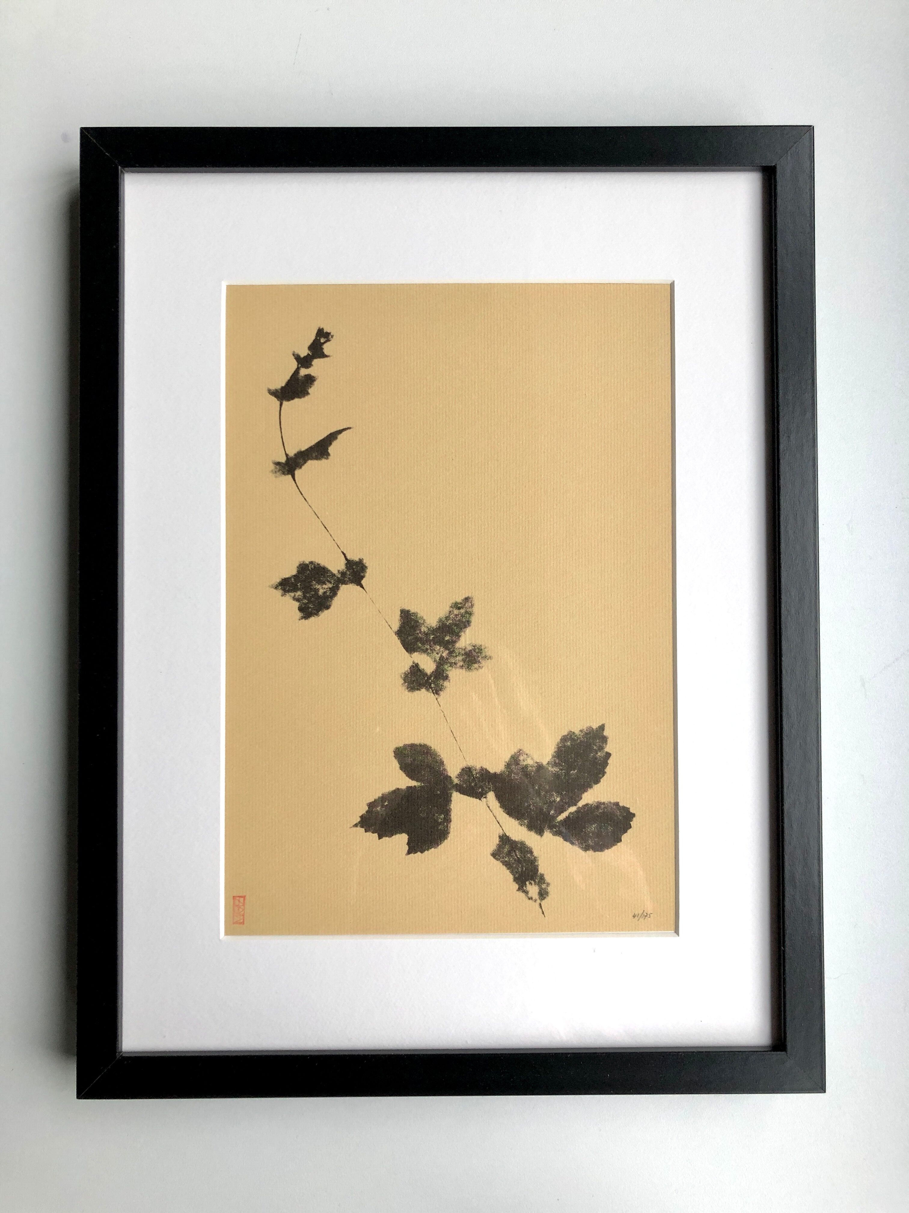 Framed lithograph - extract from the notebook "Les Natugraphies" - Albert de Visscher