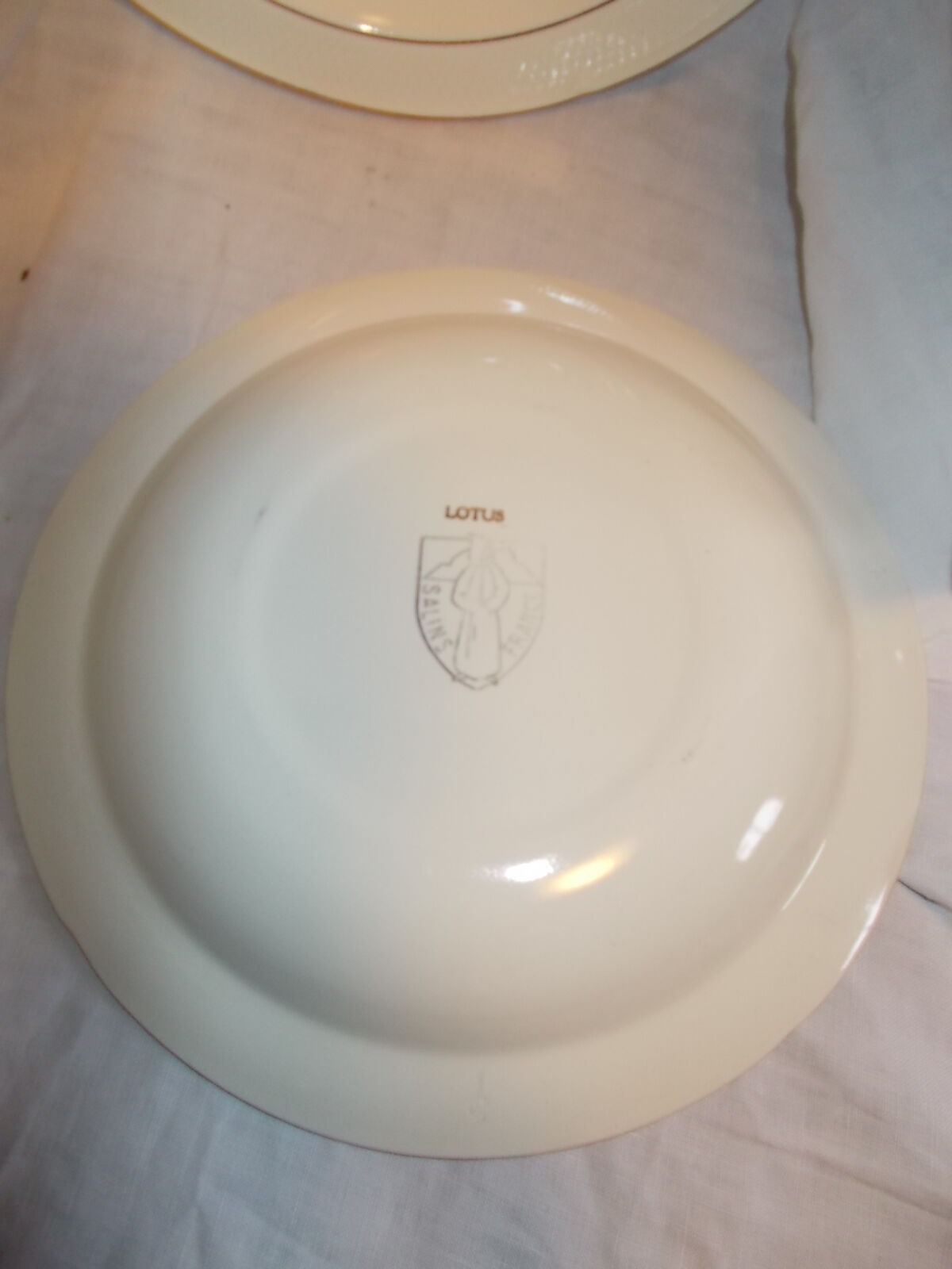 Suite 10 hollow plates saline France