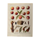 Lithographie sur le pêcher et les pêches de 1921