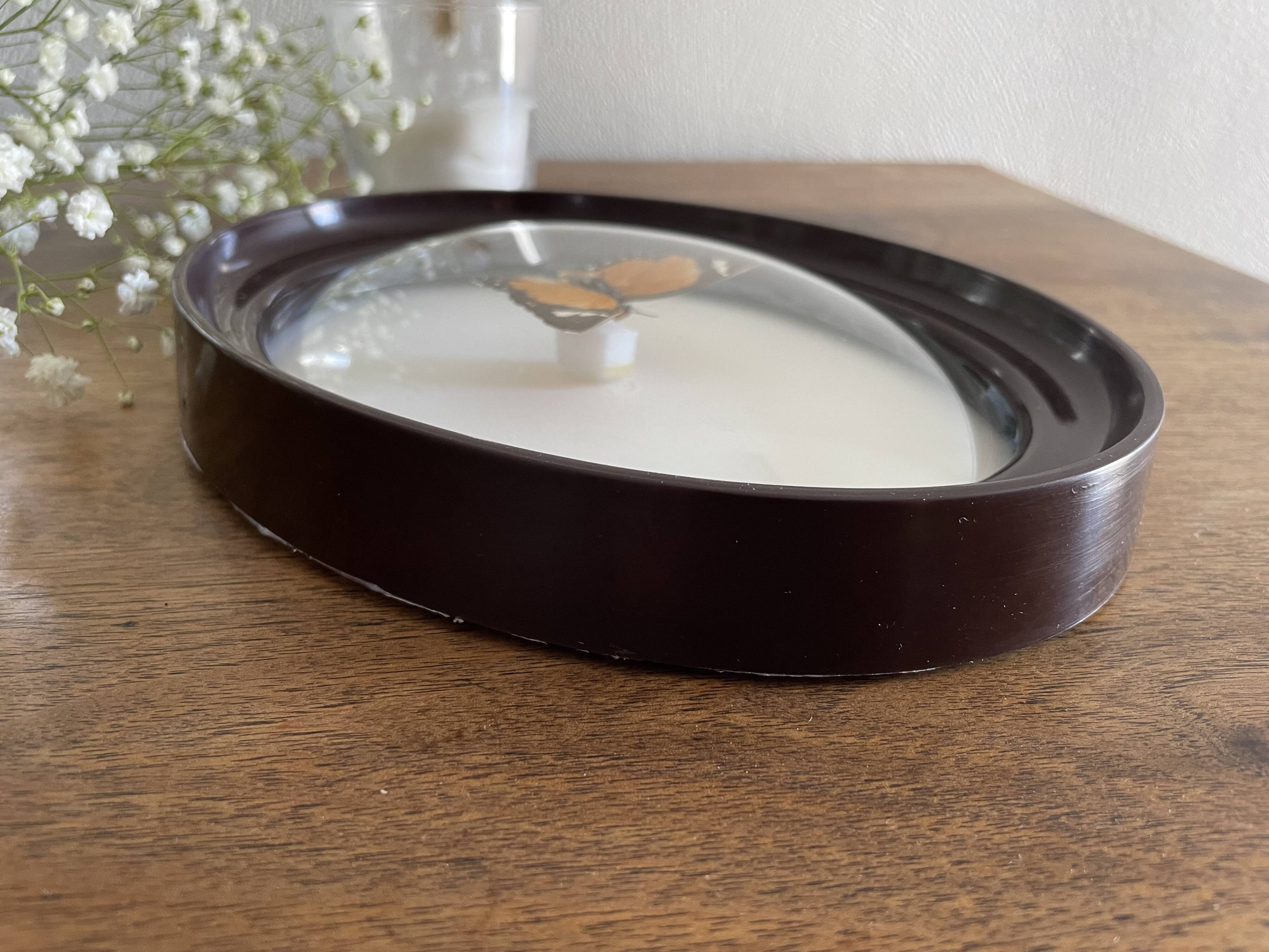 Butterfly frame naturalized curved glass