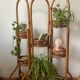 Rattan plant stand screen