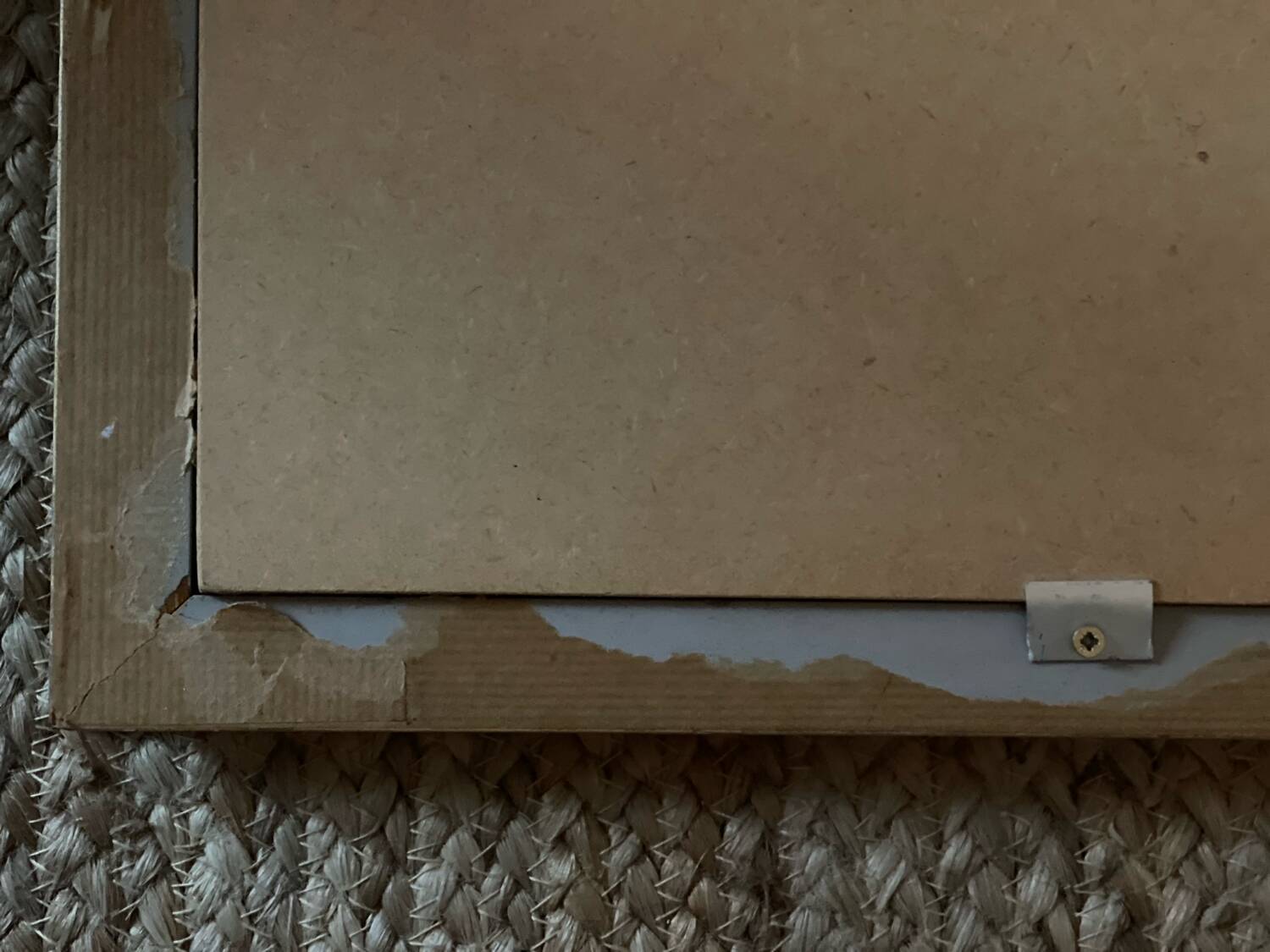 Still life on canvas