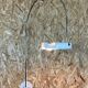 60s 70s Spider Wall Lamp Joe Colombo O-Luce 1967 Wall Light Design 60s