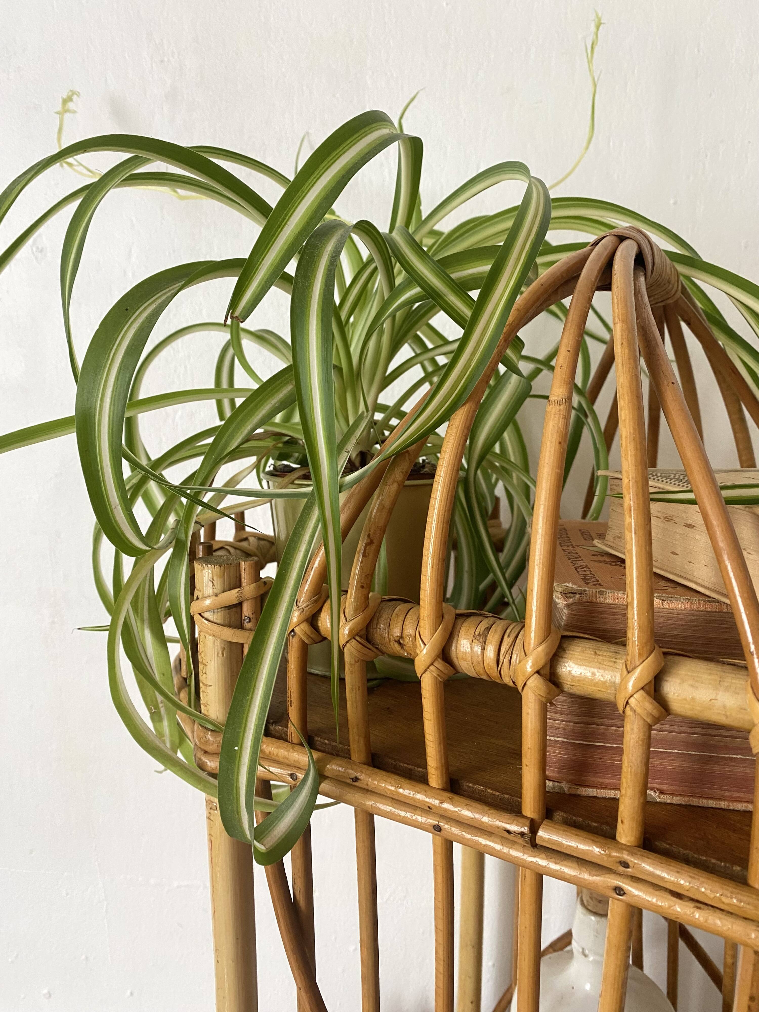 Rattan mini bar from the 60s-70s.