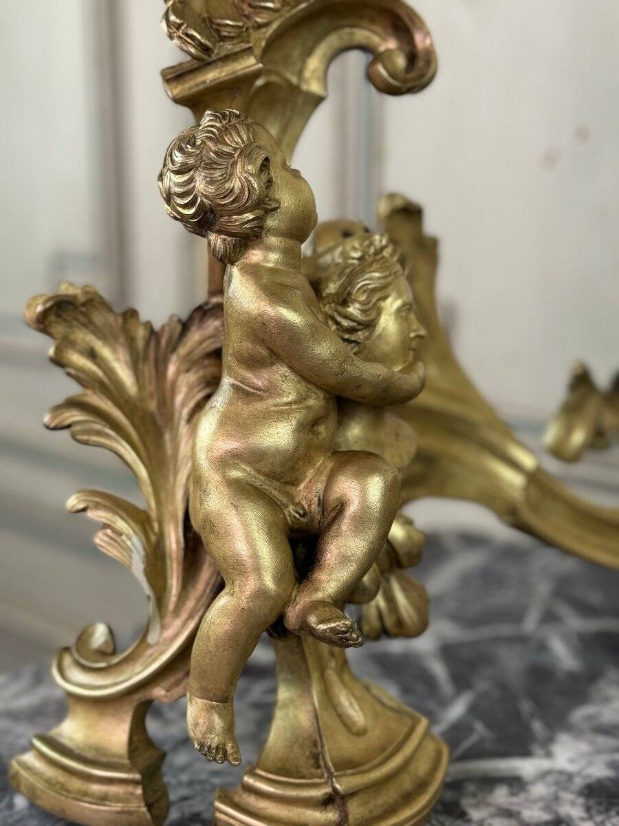 Paire de chenêts en bronze ciselé et doré d'après un modèle de Jacques Caffieri, Paris XIXème