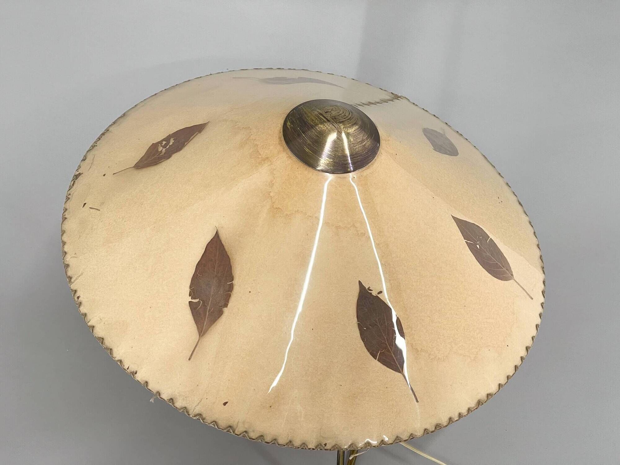 Large Rare Table or Wall Lamp by Helena Frantova for OKOLO, Czechoslovakia, 1950's