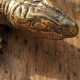 Gilt bronze lizard