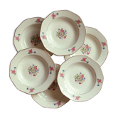 Set of 6 hollow plates small flowers French earthenware Digoin Sarreguemines model Nice