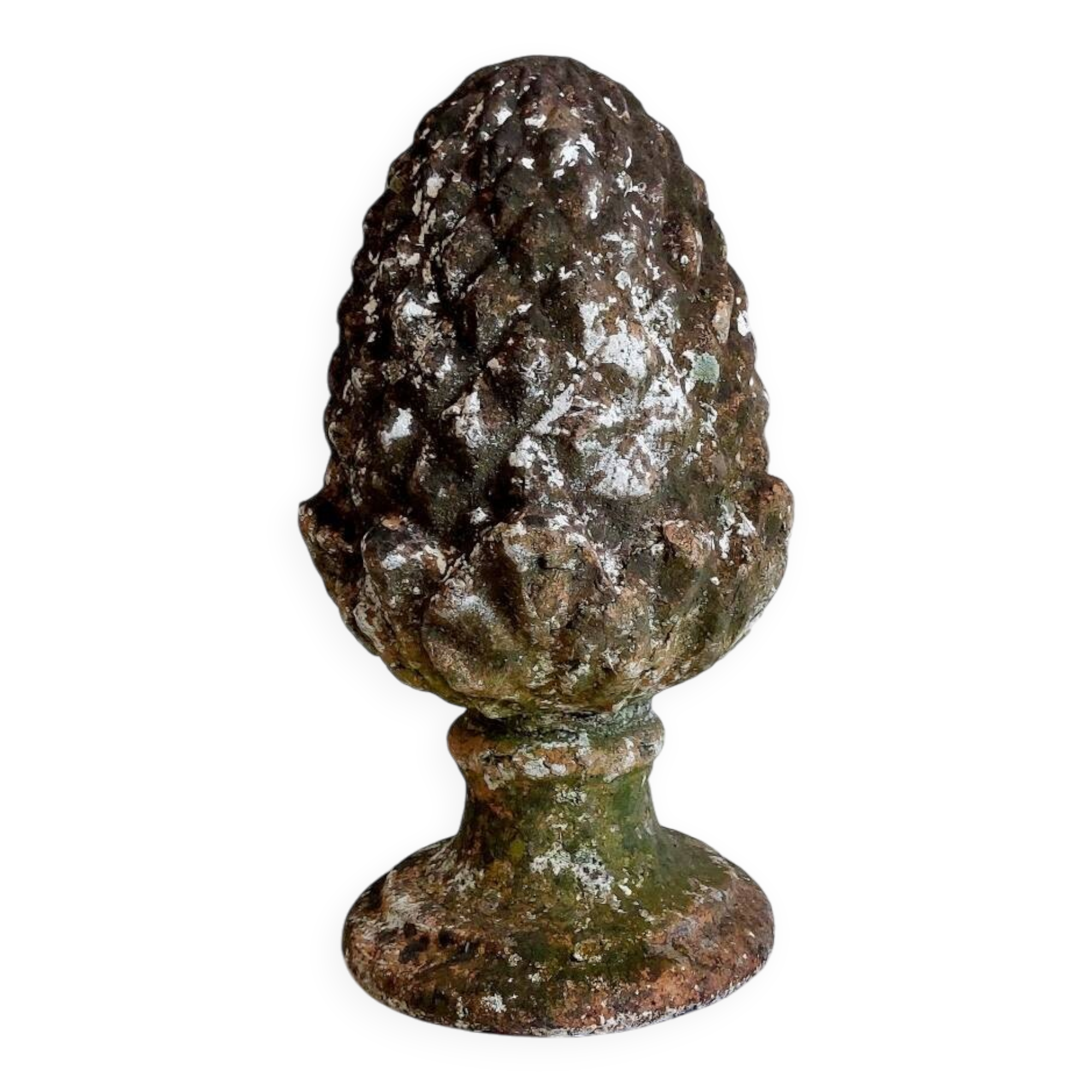 Garden pine cone