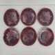 6 Morvan oval flat plates