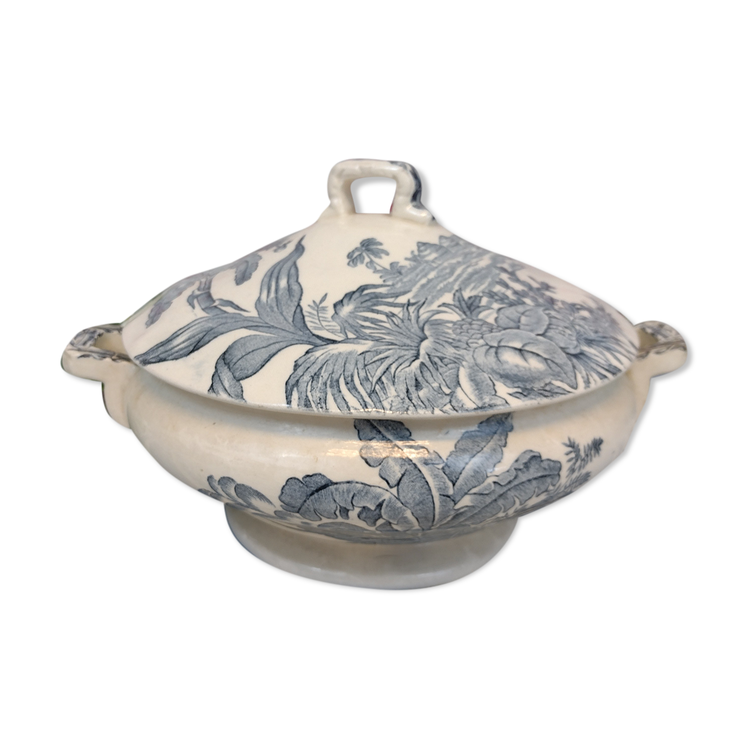 soup bowl longchamp exotic model