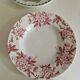 Set of 6 Deep Plates Saint Amand Terre De Fer Anemone Model Den