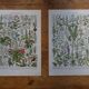 Lot of lithographs on gardens, feathers, medicinal plants and the orchard