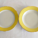 Set of two dishes Lunéville model Daffodil