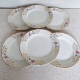6 flat flowered plates