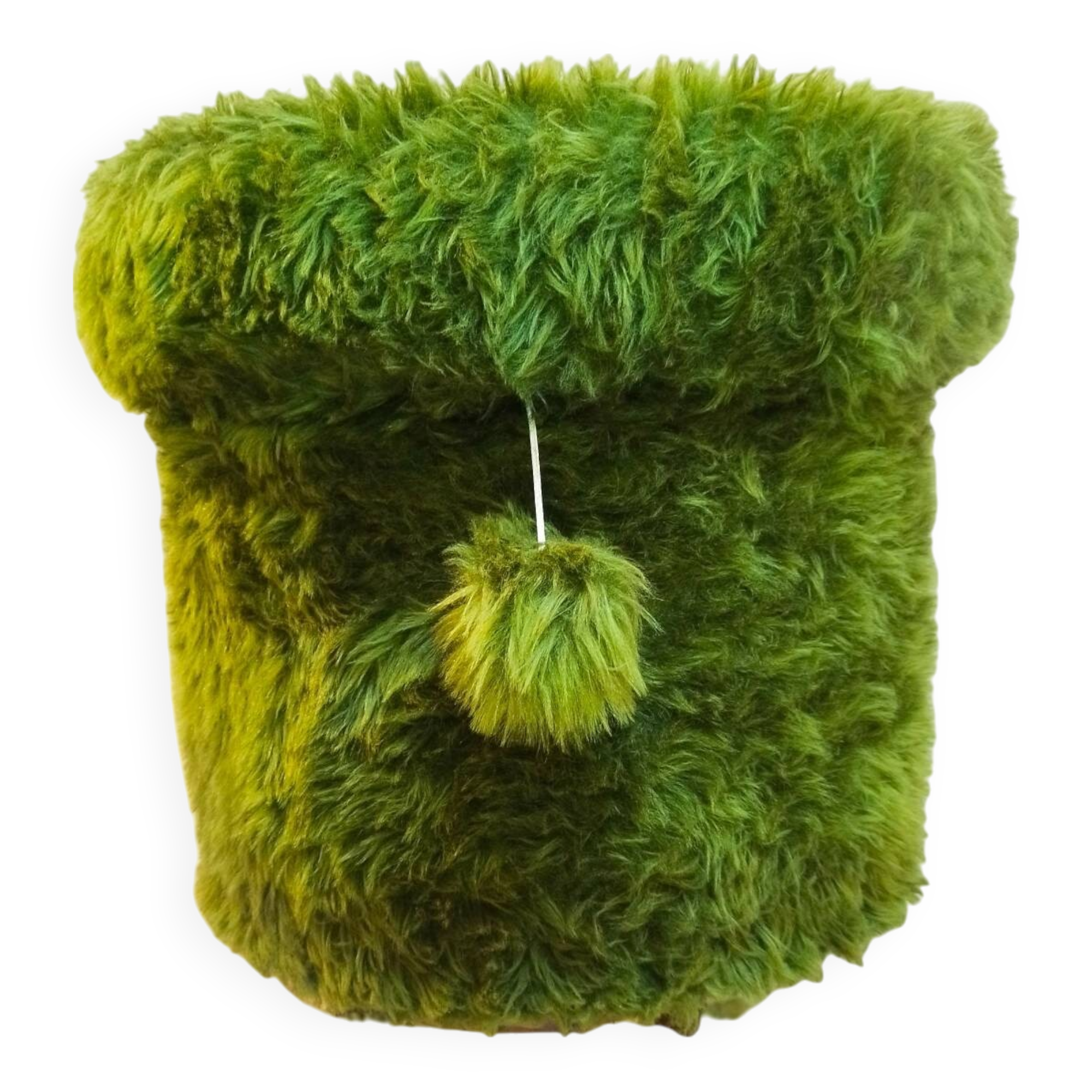 Hairy storage pouf