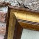 Framed ornithological engraving