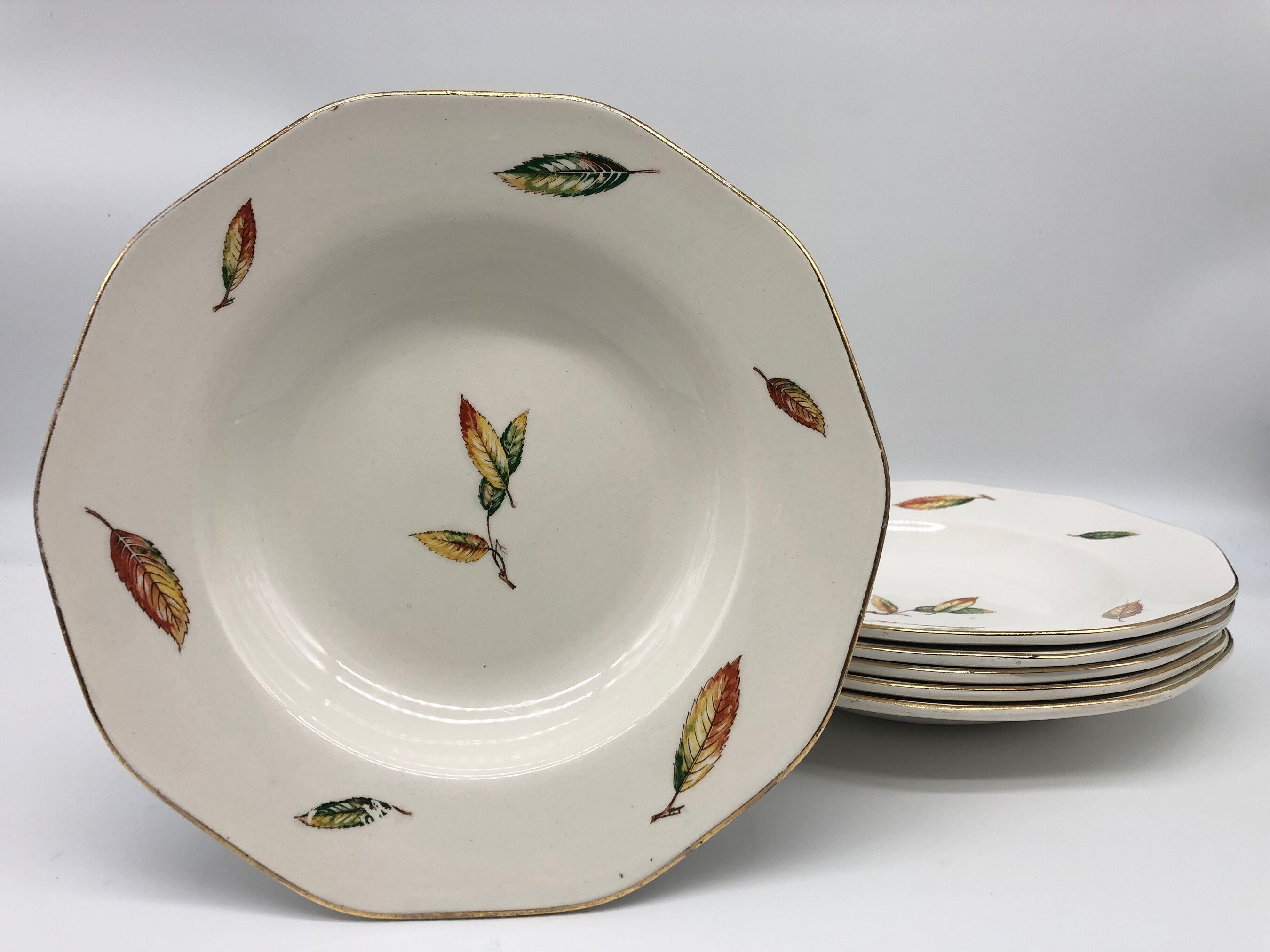 Set of 6 hollow plates "Digoin Sarreguemines / Nemours model"
